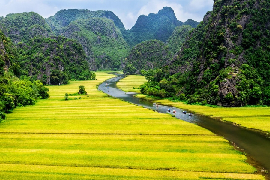 TP. HỒ CHÍ MINH - HÀ NỘI 36 PHỐ PHƯỜNG - NINH BÌNH - TAM ĐẢO VĨNH PHÚC
